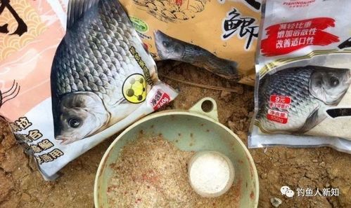 如何拌好钓鱼饵料，从新手到专家的全面指南
