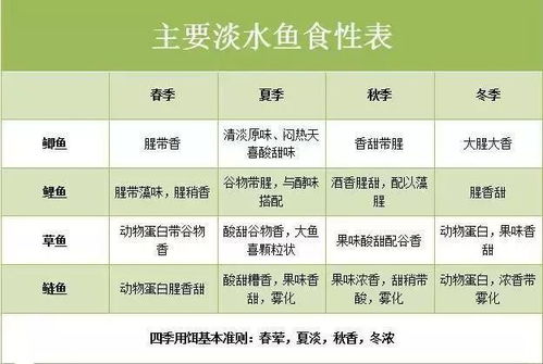 迪卡侬钓鱼饵料怎么样，全面评测与用户反馈