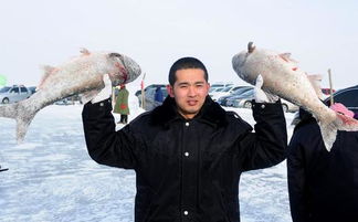Mastering Winter Fishing:Essential Techniques for Success in the Cold