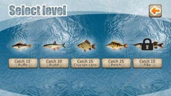 Mastering Winter Fishing Techniques:How to Catch Silver and Bighead Carp Efficiently