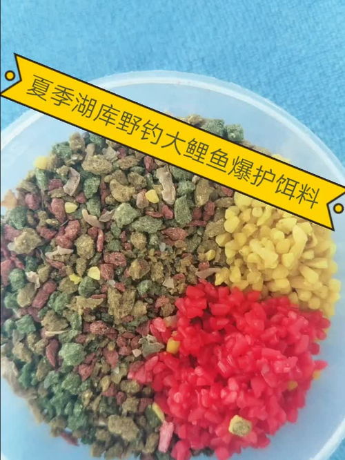 静湖钓鱼饵料使用全攻略