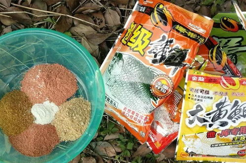 钓鱼饵料怎么送好一点的