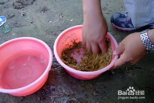 钓鱼饵料盘挂式怎么做的？手把手教你轻松DIY