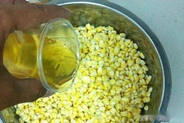 钓鱼饵料三色油怎么用？这份详细教程让你轻松上鱼！