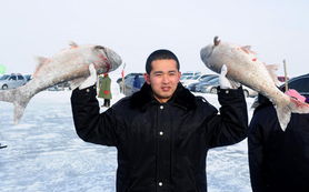 Mastering Winter Fishing:Techniques for Successful Rod Casting