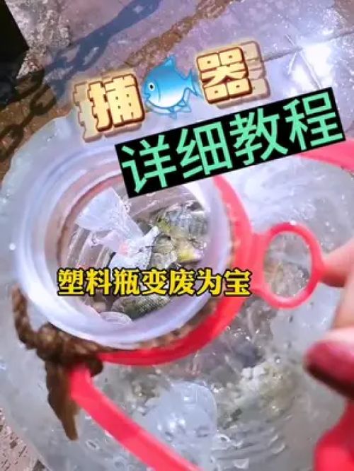 变废为宝，自制颗粒肥料助力高效钓鱼