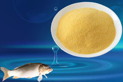 革新还是噱头？新一代钓鱼饵料深度评测