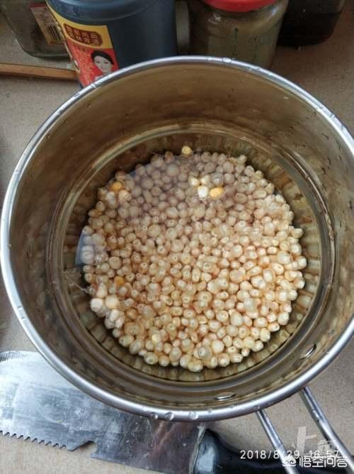 自制大浮球饵料，简单高效，鱼儿更爱吃！