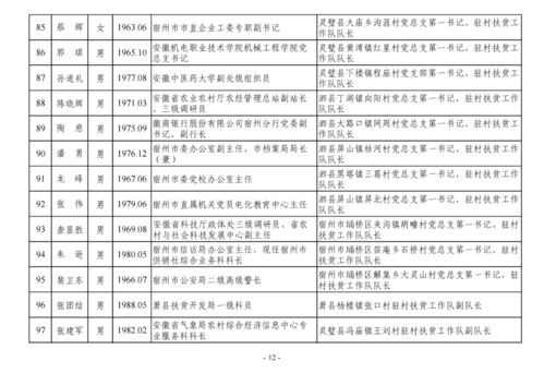 七善钓鱼饵料怎么样？深度评测与使用心得