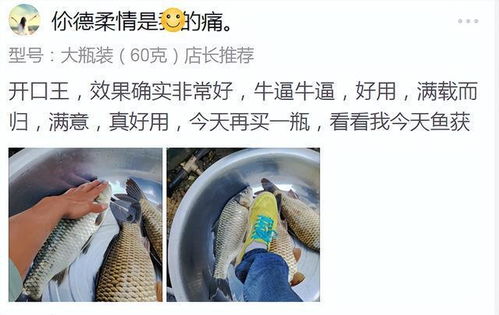 钓鱼饵料不咬钩怎么办？这5招帮你解决难题！