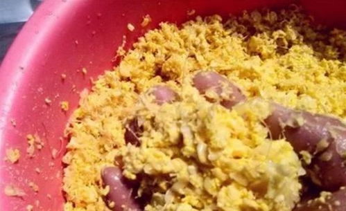 土豆粉自制钓鱼饵料，低成本、高效果的钓鱼秘籍