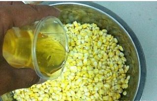 钓鱼饵料效果怎么样？揭秘饵料选择与使用的关键因素