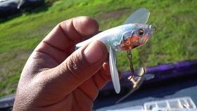 Mastering the Art of River Fishing:Essential Techniques for Hooking the Big Ones