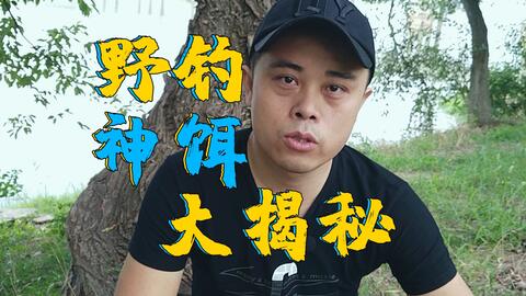 陈哥的钓鱼饵料到底怎么样？揭秘视频背后的秘密！