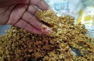 蚂蚁饵料，钓鱼高手的秘密武器