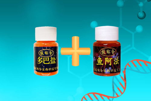 生蚝钓鱼饵料秘方，提升钓获量的终极指南