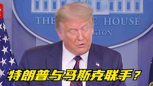 美商务部长谈特朗普与马斯克和解：特朗普“会原谅但不会忘记”