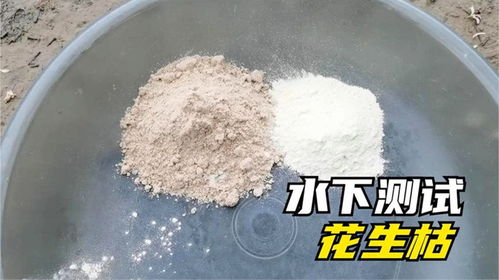 黑雕钓鱼饵料怎么样？深度评测告诉你答案！