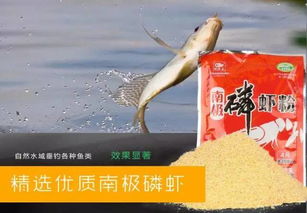 仙丹牌钓鱼饵料使用效果怎么样？