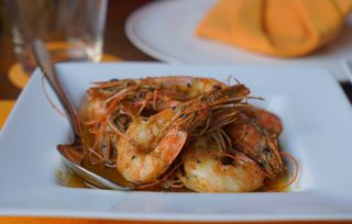 Mastering the Art of Crab Nesting:Tips and Techniques for Successful Fishing