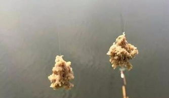 野钓拉饵怎么做？从零开始的饵料大师之路