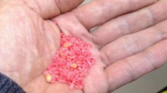 钓鱼饵料不贴钩怎么办？这些方法太实用了！
