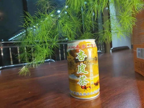潍河野钓饵料怎么样好用吗？这份饵料选择秘籍请收好！