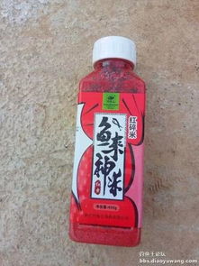 鱼饵料野钓钓鱼王怎么样？深度评测与实战体验