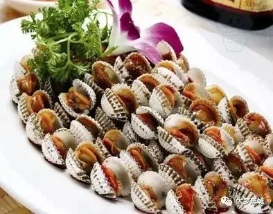 金堤河钓鱼饵料怎么选？这份饵料搭配指南请收好！