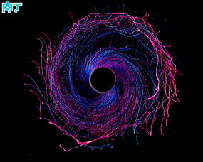 Mastering the Art of Black Hole Fishing:Tips and Techniques for Beginners