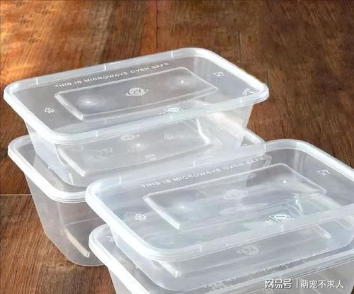 用塑料瓶DIY钓鱼饵料盒，简单又环保的方法