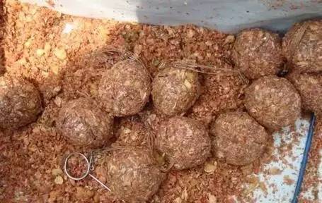鬼谷海竿钓鱼饵料怎么样？实战测评与深度解析