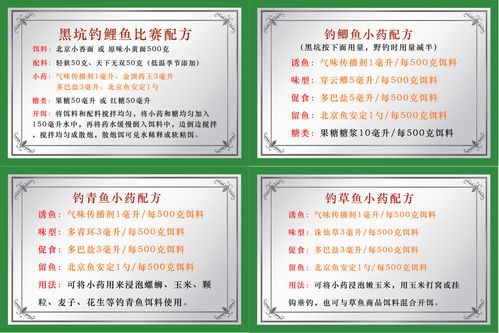 黑坑钓鱼饵料配制秘籍，从新手到高手的实战指南