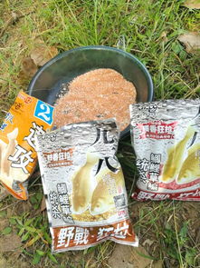 钓鱼饵料盘怎么粘在一起？实用技巧与方法全解析