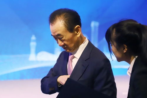 王健林及万达集团，被限制高消费