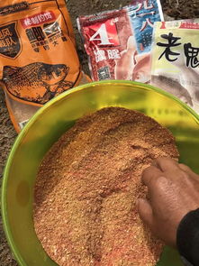 鱼粉的妙用，从新手到高手的饵料视频指南