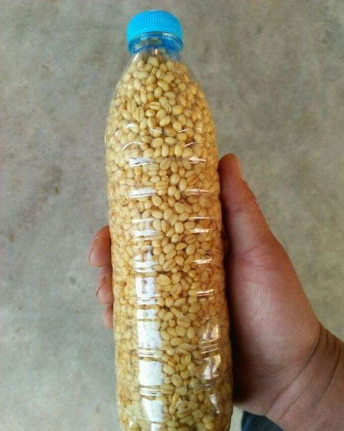地笼钓鱼秘籍，自制鱼饵料的正确打开方式
