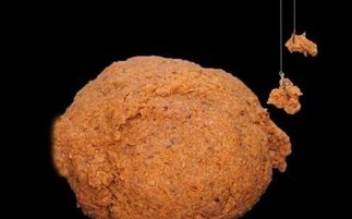 钓鱼饵料不拉丝了怎么回事？