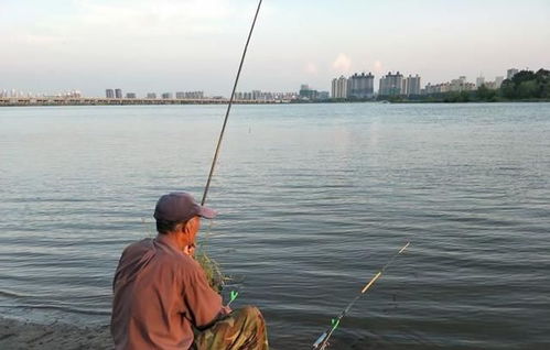 钓鱼饵料开太稀怎么办？5种实用解决方案帮你重拾垂钓乐趣
