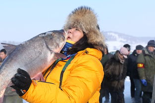 Mastering Winter Fishing:Techniques and the Art of Using Wine Rice Baits