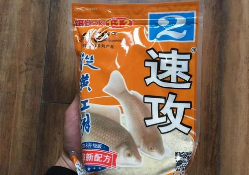 牛渡滩钓鱼饵料的最佳使用方法