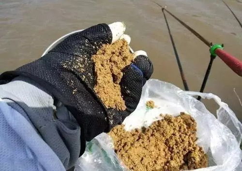 自己动手，钓串饵料的美味秘诀