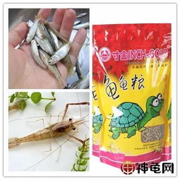 忘带虾粉怎么办？这些饵料替代品让你照样钓大鱼！