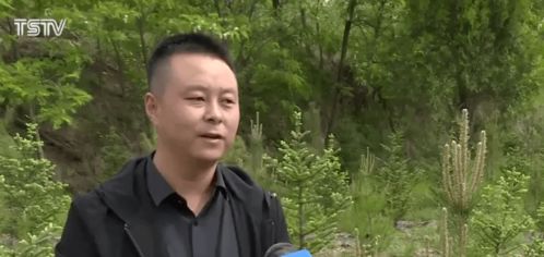 老酒作钓鱼饵料好吗？如何科学制作与使用