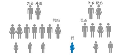钓鱼饵料进水就掉怎么办，全面解析与解决方案