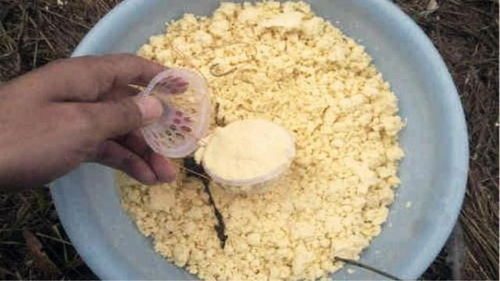 钓鱼饵料粘网怎么办？5分钟教你一招解决！