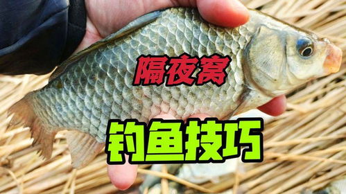 轻松掌握，制作最简单的钓鱼饵料指南