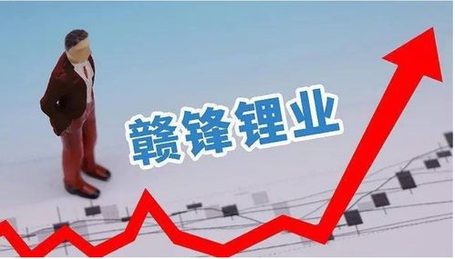 赣锋锂业：公司不存在逾期担保的情形