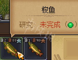 钓鱼饵料钓鳗鱼怎么样？视频揭秘终极秘籍！