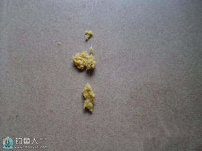 钓鱼饵料怎么做拉饵最好？这份秘方教程你必须学会！